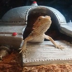 Meet your Posher, Nikki